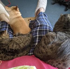 Meet your Posher, Sandra